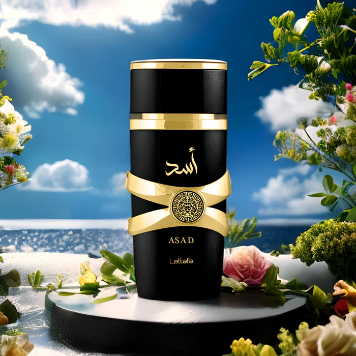 Asad Perfume Black